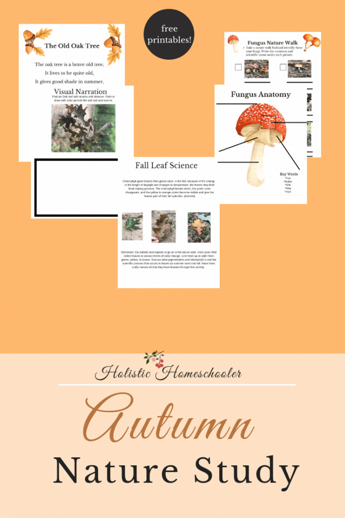 Are you looking for a printable pack to go along with your nature study? Check this one out today! #charlottemason #science #homeschool #homeschoolprintablesforfree