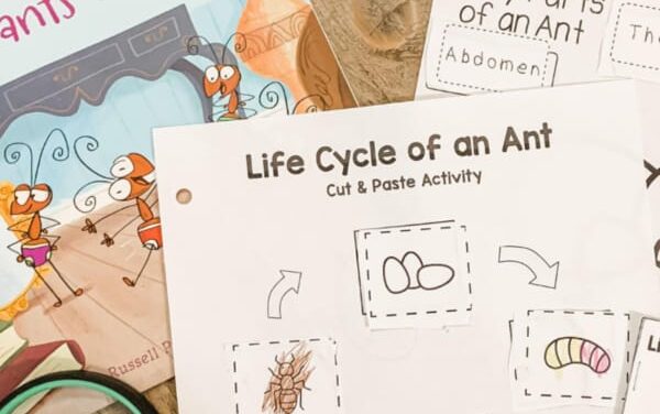 ANTS SCIENCE UNIT