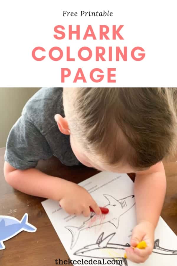 This fun Shark Coloring page is the perfect addition to a shark unit study.